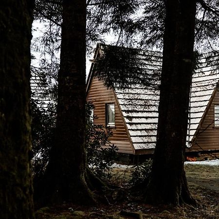The Triangle Lodge Invergarry Exteriör bild