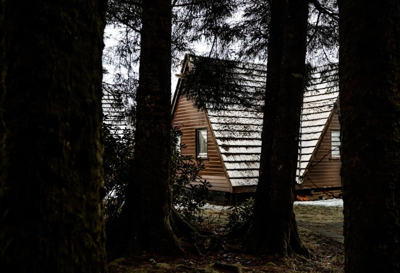 The Triangle Lodge Invergarry Exteriör bild